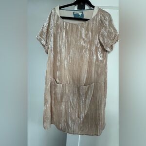 Anthropologie Shimmering Beige Dress